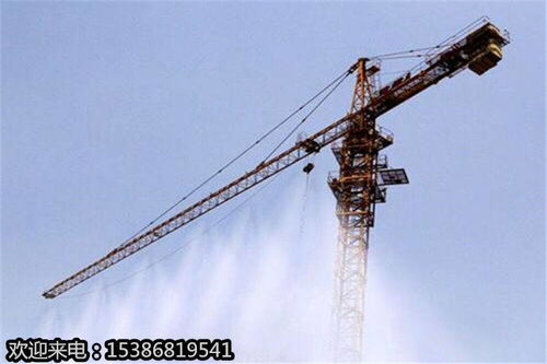 浙江桐鄉(xiāng) 環(huán)保除塵塔吊噴淋機 什么牌子好