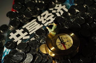 共享經濟 賠錢賺吆喝背后的戰(zhàn)略布局與軟件開發(fā)新機遇